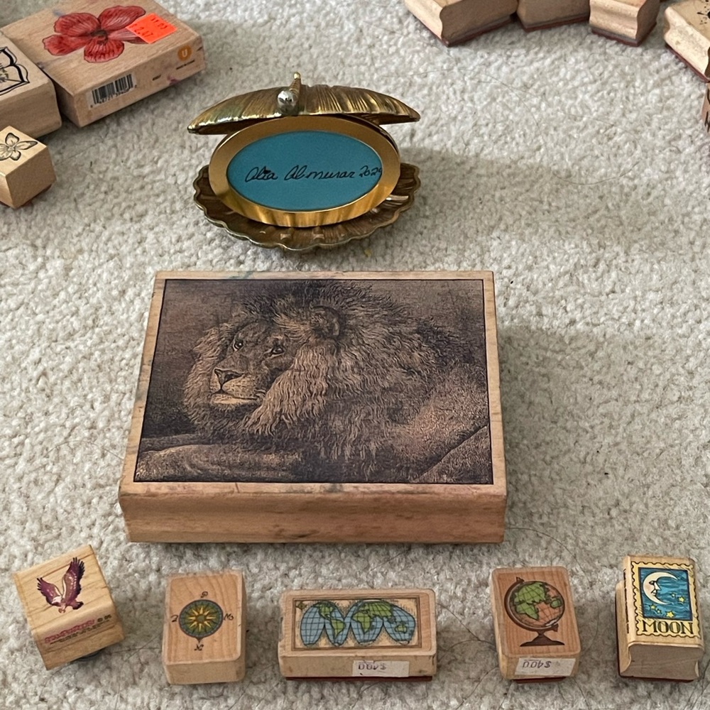 Safari bundle lion